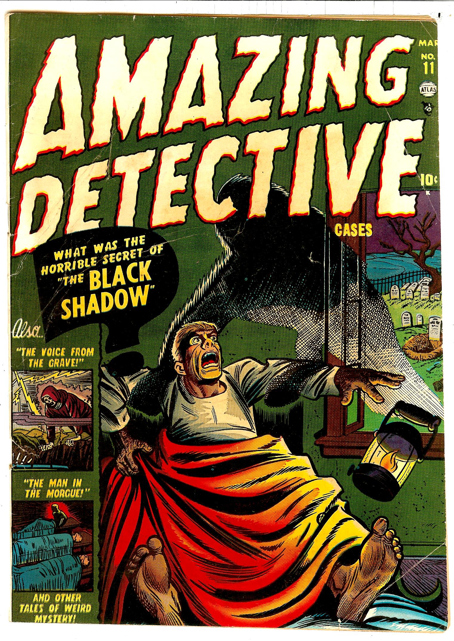Amazing Detective Cases 11