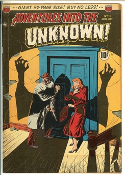 Adventures Into the Unknown #11