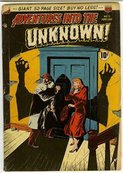 Adventures Into the Unknown #11