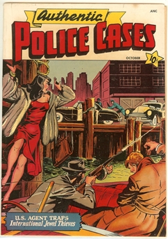 Authentic Police Cases #9