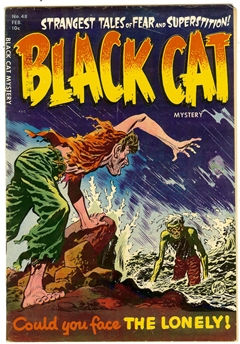 Black Cat Comics #48