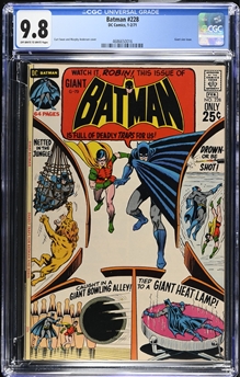 Batman #228