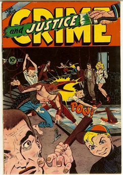 Crime and Justice #11