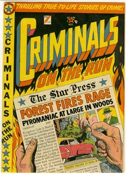 Criminals On the Run #10