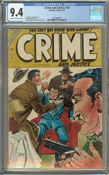 Crime and Justice #20