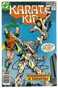 Karate Kid #14