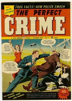 Perfect Crime #5