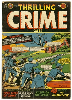 Thrilling Crime Cases #44