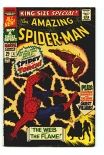 Amazing Spider-Man Annual #4