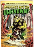 Adventures Into the Unknown #24