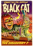 Black Cat #46