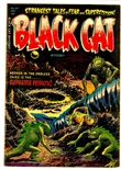 Black Cat #47