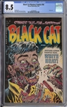 Black Cat #50