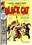 Black Cat #22