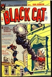 Black Cat #26