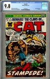 Cat #4