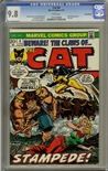 Cat #4