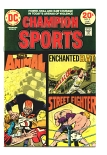 Champion Sports #2