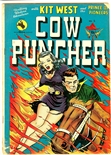 Cow Puncher #5