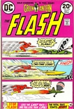 Flash #223