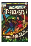 Frankenstein #5