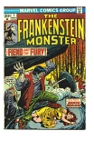Frankenstein #7