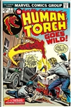Human Torch #2