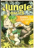 Jungle Comics #41