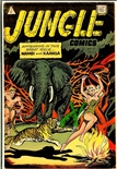 Jungle Comics #9