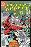 Karate Kid #10