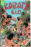 Karate Kid #11