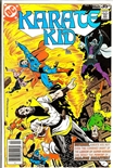 Karate Kid #13