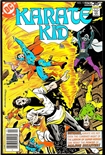 Karate Kid #13