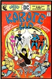 Karate Kid #1