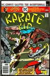 Karate Kid #3