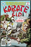 Karate Kid #5