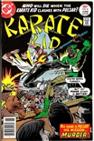 Karate Kid #8