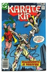 Karate Kid #14
