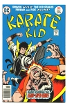 Karate Kid #6