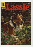Lassie #27