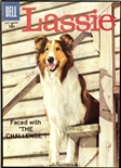 Lassie #41