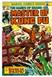 Master of Kung Fu #23