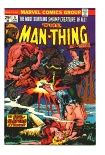 Man-Thing #6