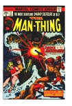 Man-Thing #11