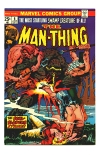 Man-Thing #6