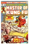 Master of Kung Fu #38