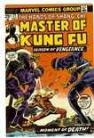Master of Kung Fu #21