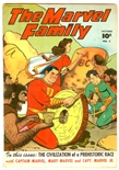 Marvel Family #5