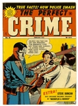 Perfect Crime #21