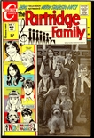 Partridge Family #1